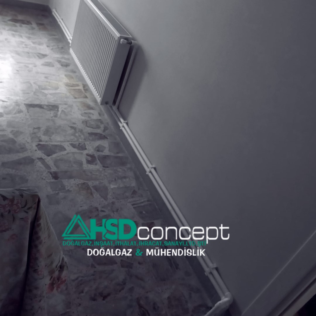 HSDConcept