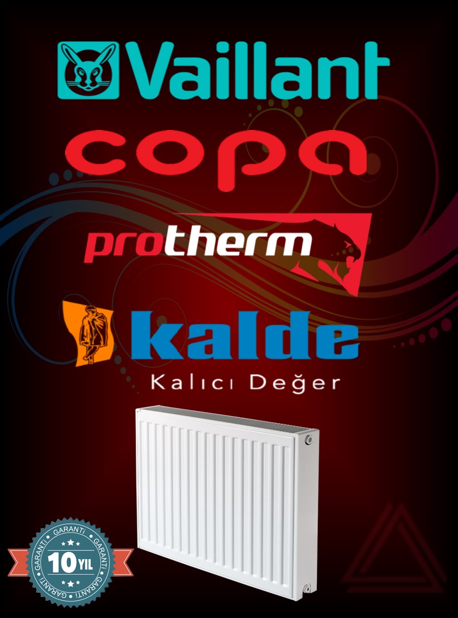 Vaillant
