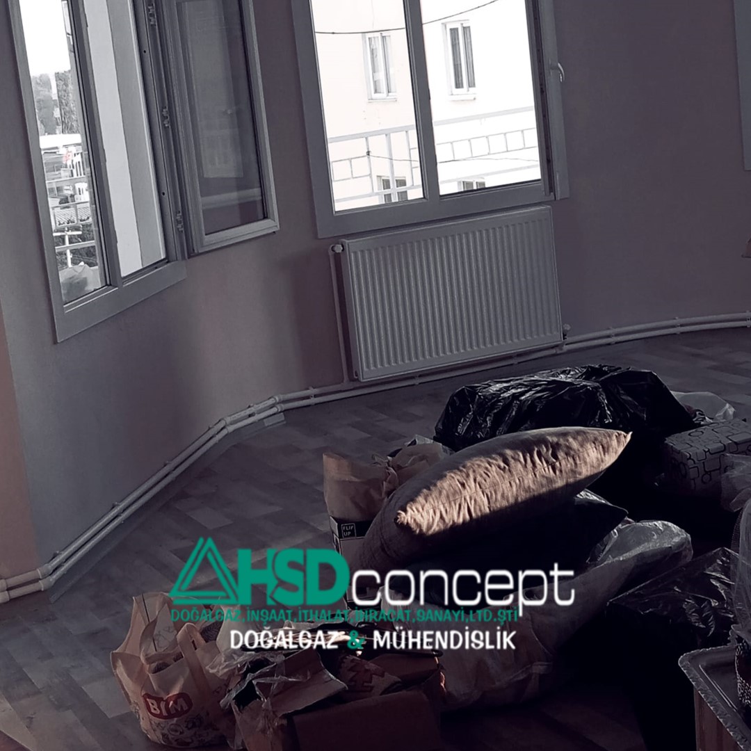 HSDConcept