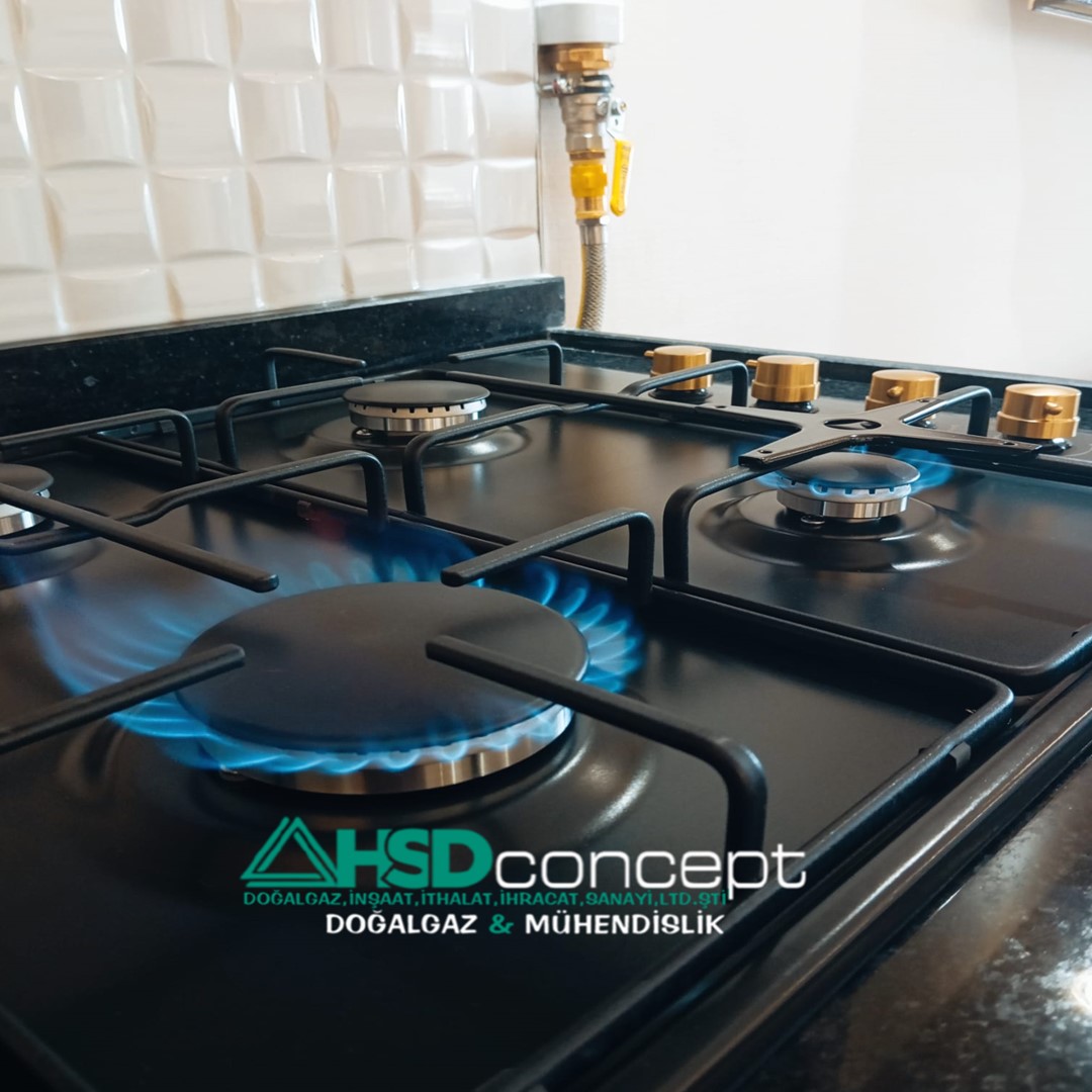 HSDConcept