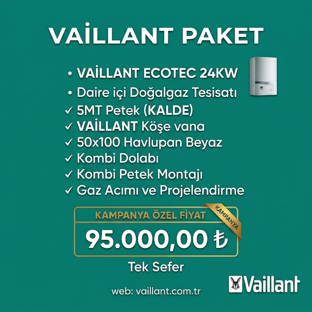 VAİLLANT KAMPANYA